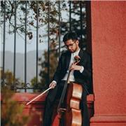 Profesor de música con años de experiencia entrega clases de guitarra, ukelele, teoría, violín o violoncello